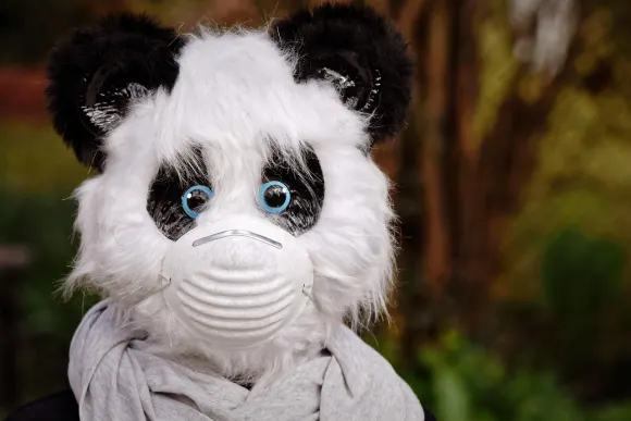 Unibet Casino Podrška